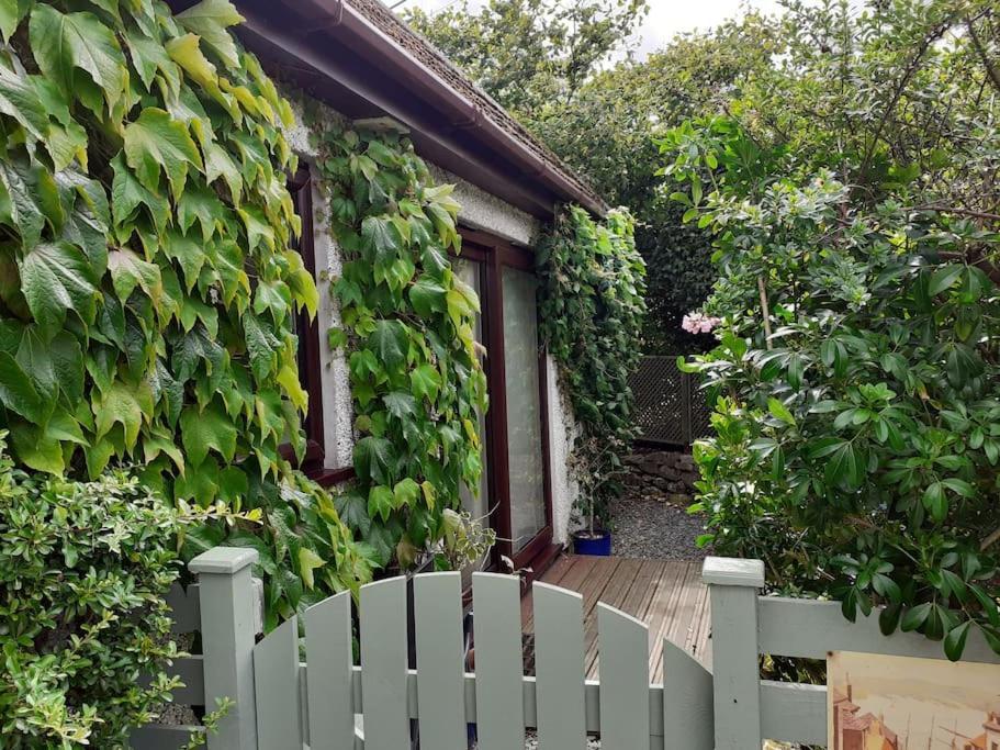Oakey Orchard - Cosy Apartment In Tamar Valley, Cornwall Saint Dominick Exterior foto